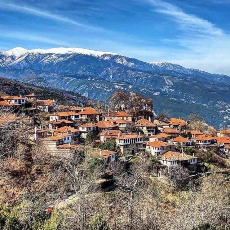 Ξενώνας Τ'Αρχοντικό Палеос-Пантелеймонас Экстерьер фото